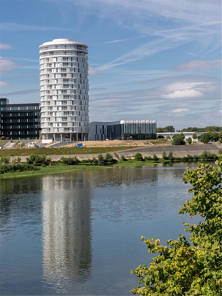 quartier des deux lions tours adresse