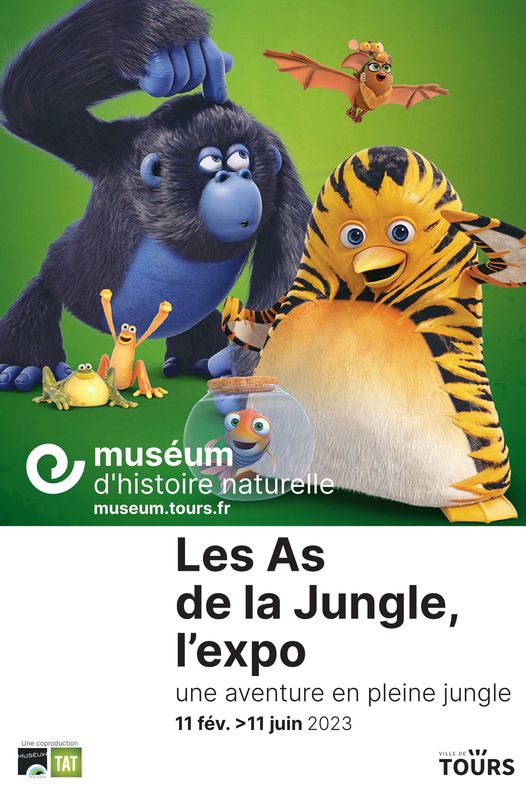 museum tours les as de la jungle