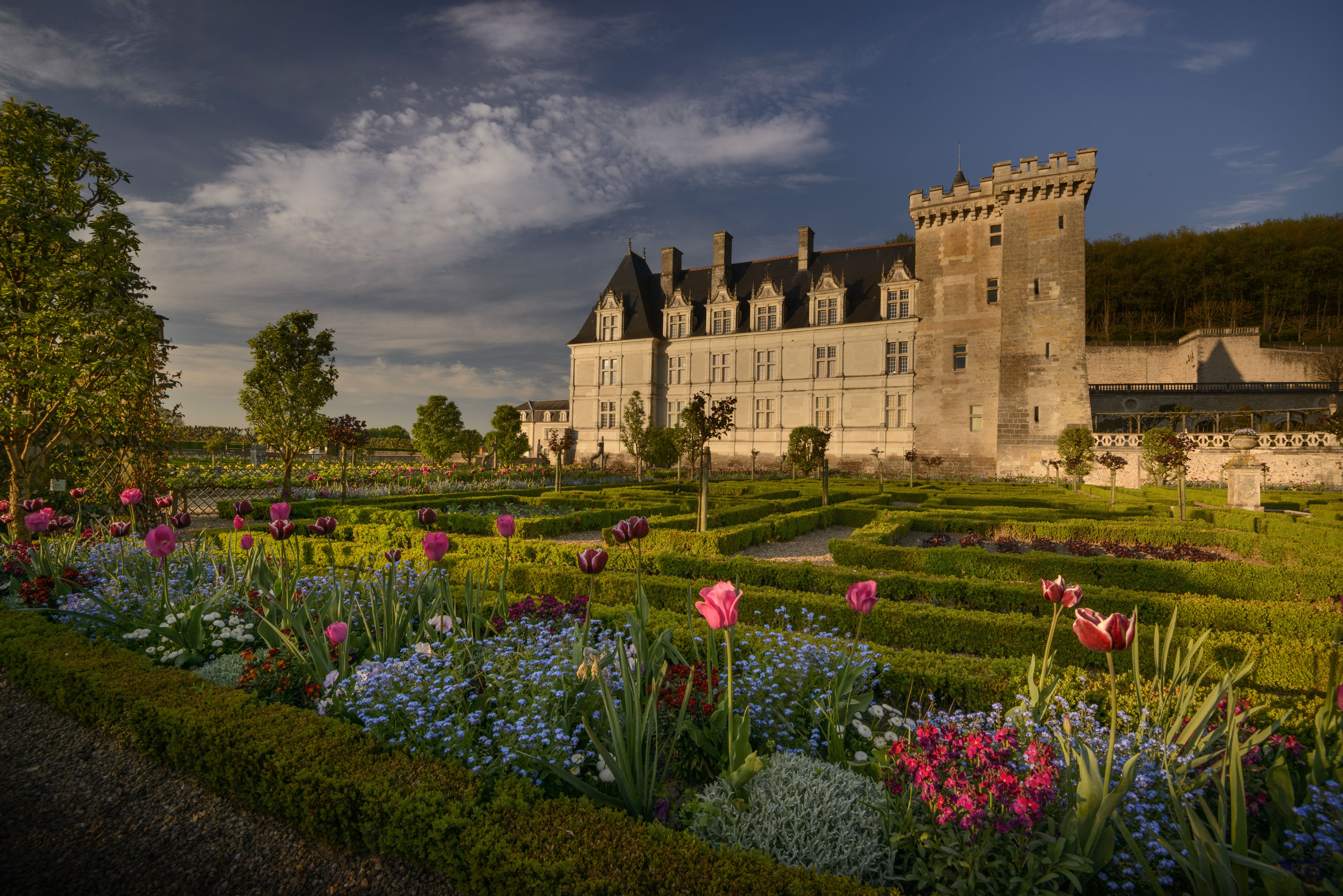 chateau_villandry_leonard_de_serres_0.jpg